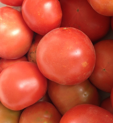 Frozen Tomatoes - 1#