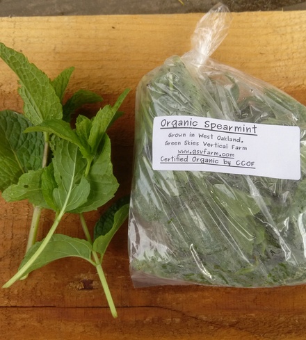 Organic Spearmint
