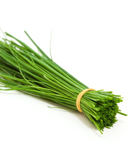 Herbs - Chives