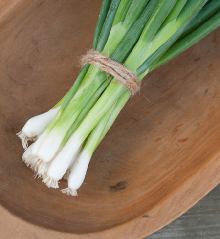 Scallions