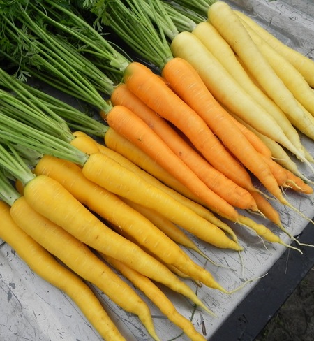 Mixed Carrots