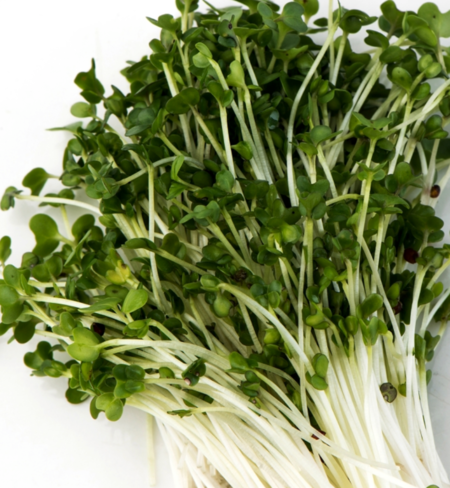 Microgreens, Broccoli