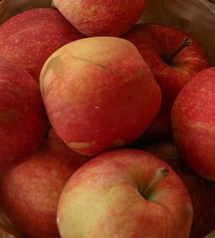 Gala apples