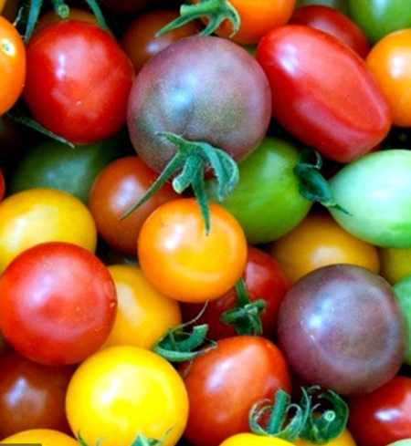 Tomatoes, Cherry and Artisanal