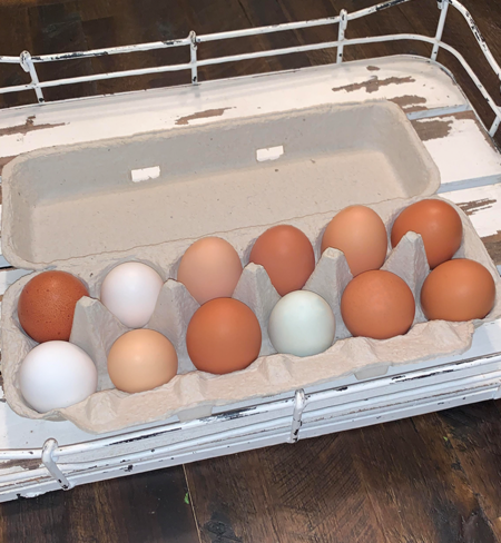 Eggs, Pasture Raised, Non-GMO, AA Grade Large Chicken