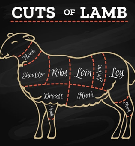 Half a Katahdin Lamb