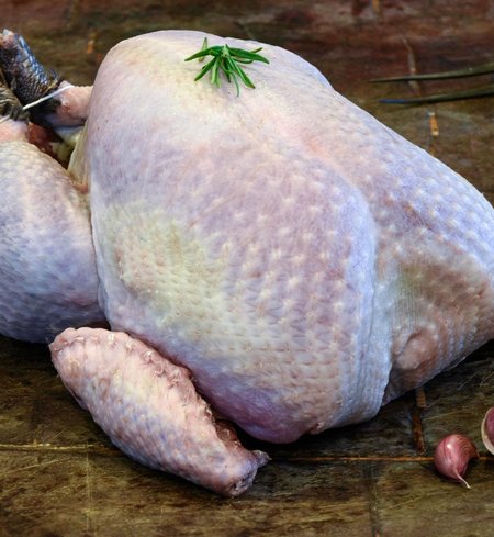 ThX Heritage Turkey