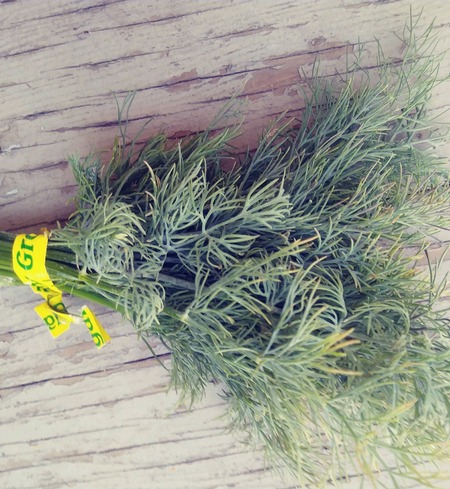 Herb, dill