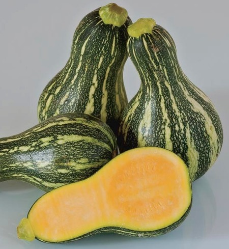 Heirloom Cushaw
