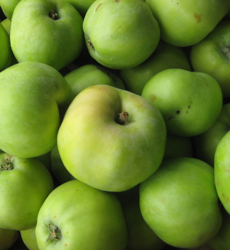 Apples, Gravenstein