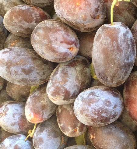 Frozen Italian Prune Plums