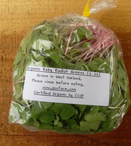 Organic Baby Radish Greens