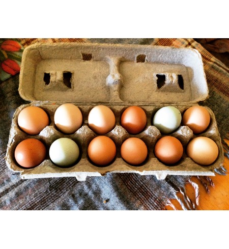 Pasture-raised Eggs