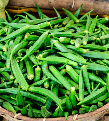 Okra
