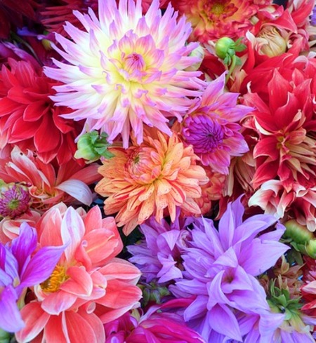 Beautiful Bouquets