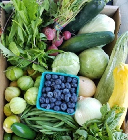 Soundbite CSA