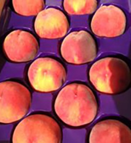 O'Henry Peaches
