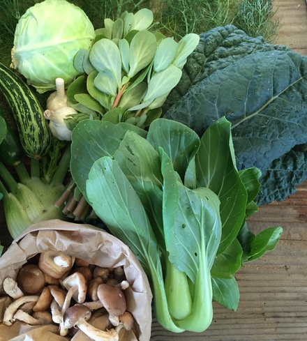 Veggie Box- 20 Week Share
