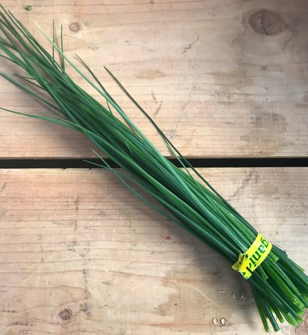 Herb, chives