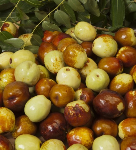 Jujubes!