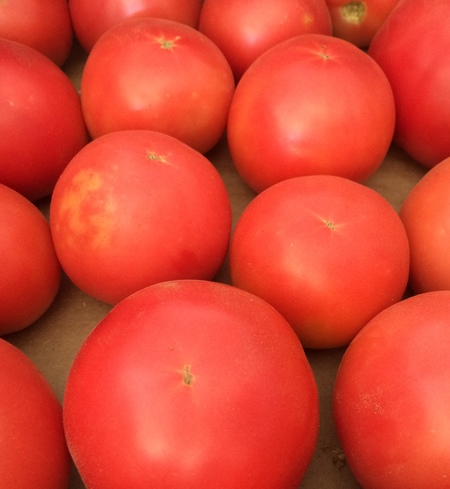 Tomatoes, Slicing
