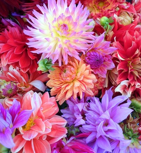 Beautiful Bouquets