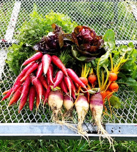 CSA Produce Share Deposit