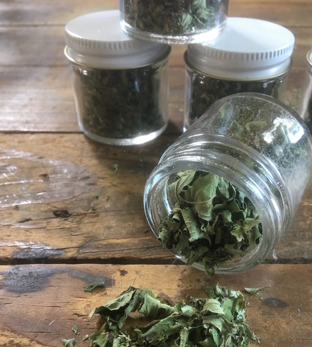 Dried Organic Oregano