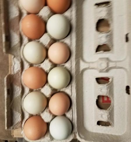 Farm Fresh Eggs