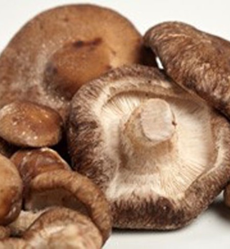 Shiitake