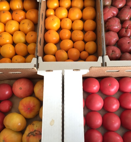 Tomatoes,Heirloom
