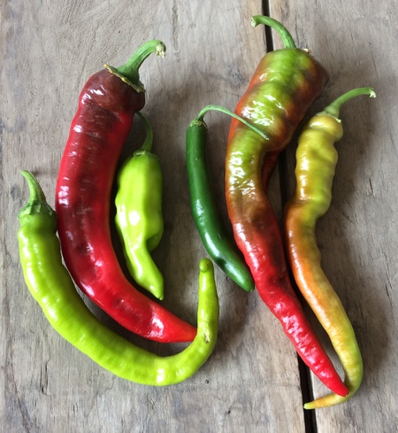 Peppers, Small