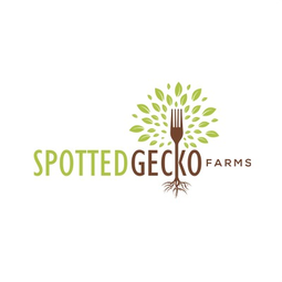 Spotted Gecko Farms