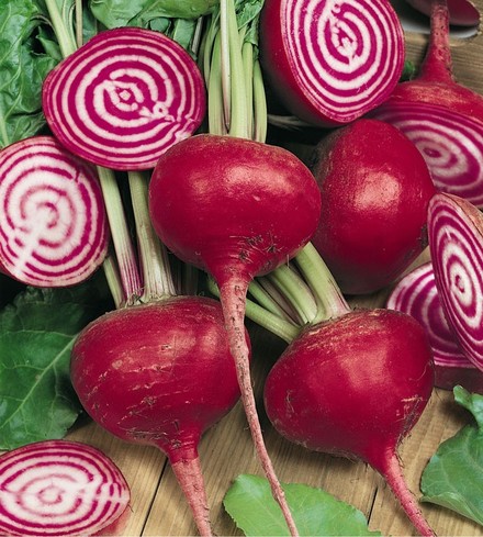 "Chioggia" Beets