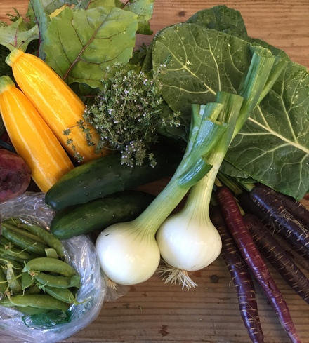 Veggie Box - 4 Week Trial