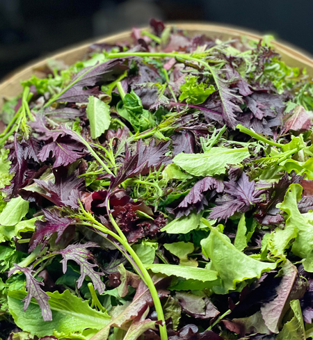 Lettuce Mix (8x8x3” compostable clamshell)