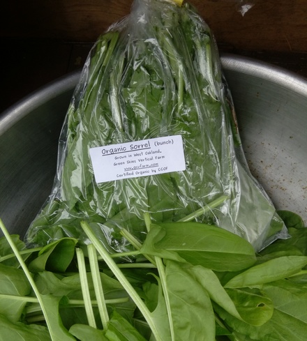 Organic Sorrel