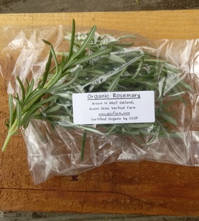 Organic Rosemary