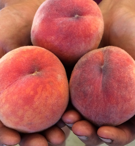 Peaches, Yellow
