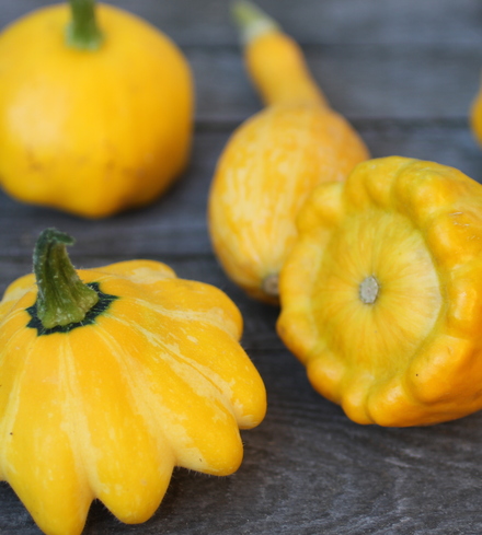 Summer Squash Assortment