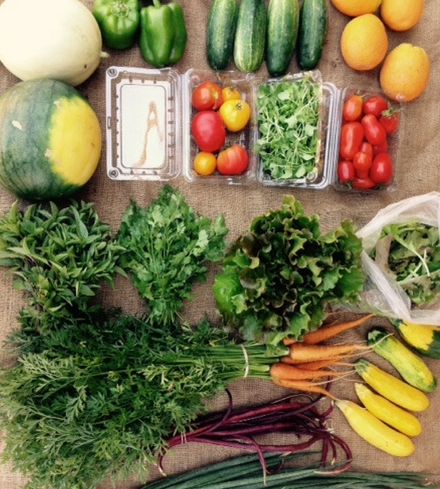 Large Farm Box (Fallbrook)
