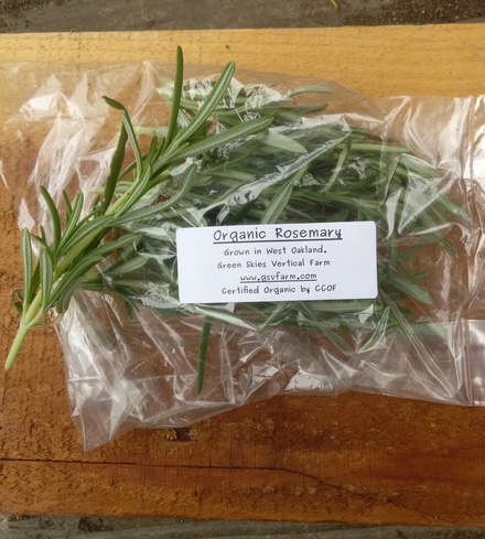 Organic Rosemary