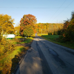 Echo Valley Homestead