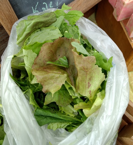 Spicy Salad Mix