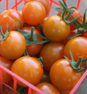 Tomatoes, Cherry - Organic