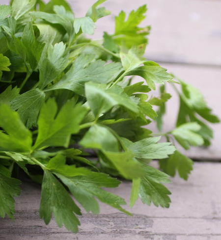 Herbs, Parsley
