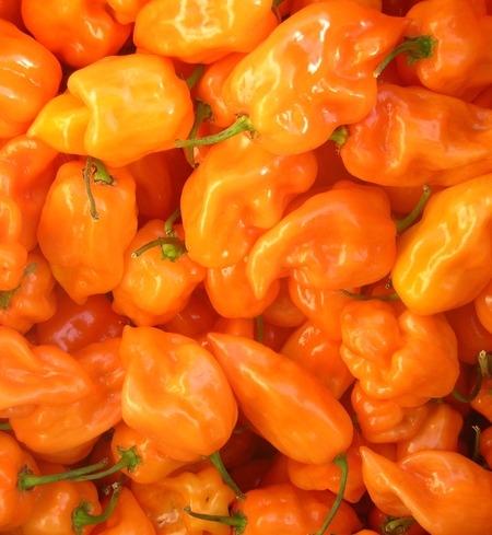 Frozen, Habanero Pepper