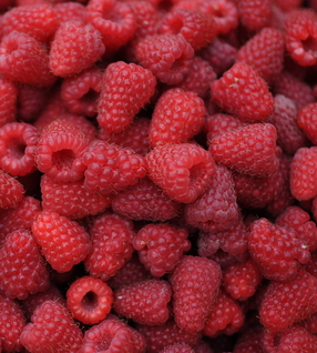 Local Raspberries