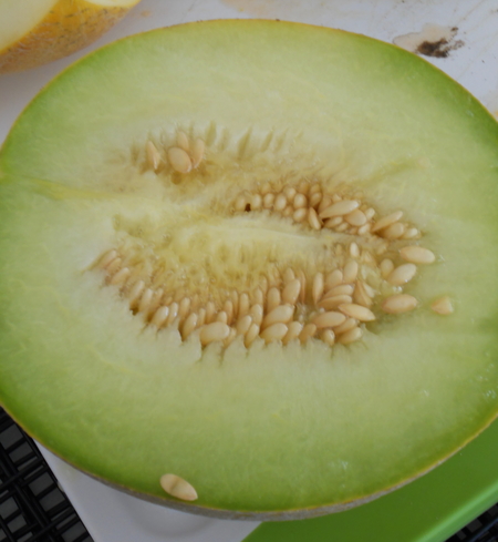 Cantaloupe, Green