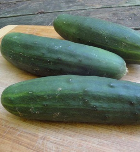 Marketmore Cucumbers